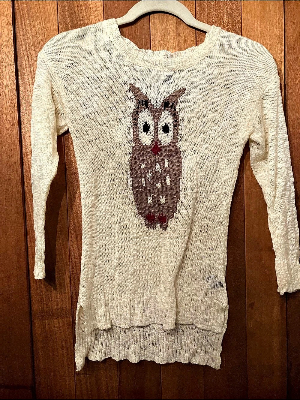 Owl Graphic Knit Sweater